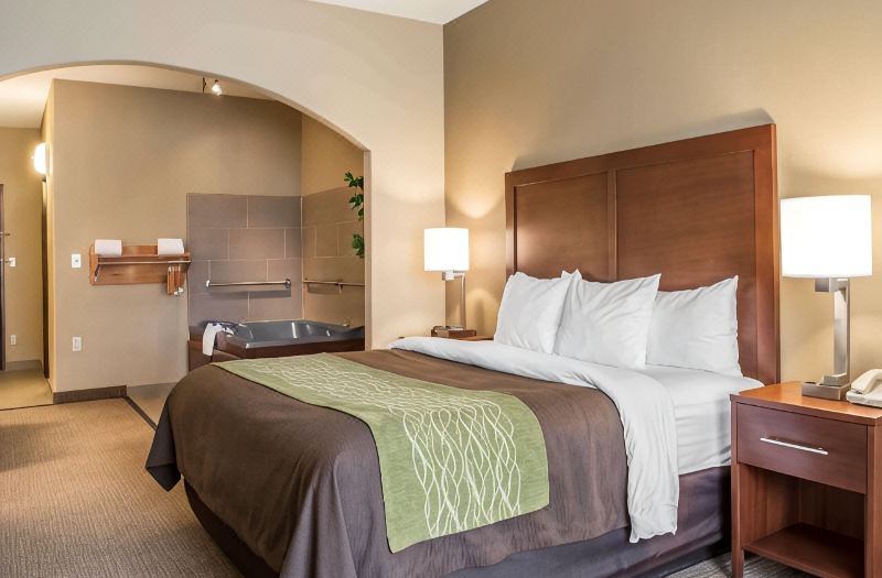 Comfort Inn Edinburg South