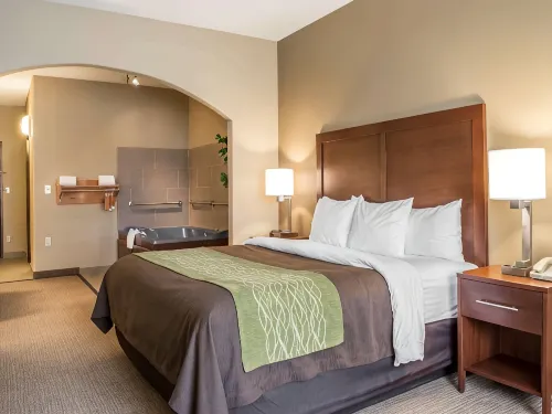 Comfort Inn Edinburg South