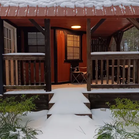Fern Gully cabin