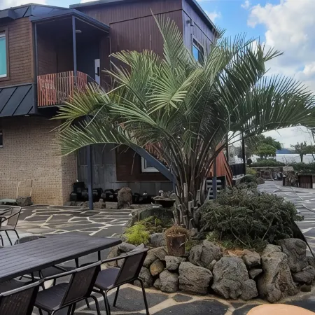 Aewol Aurora Pension