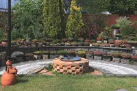 Sarah's Small Garden