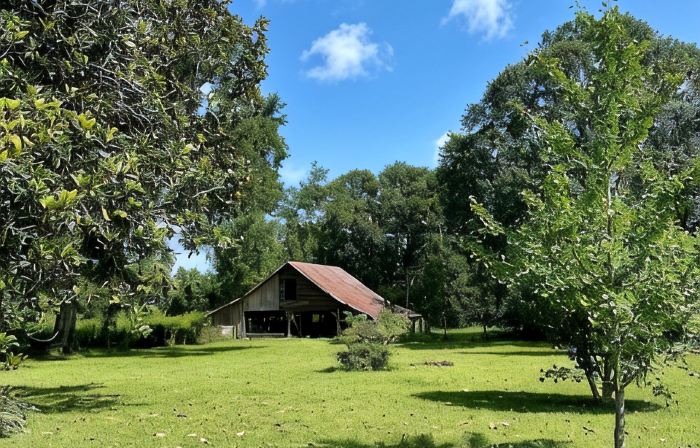 Family farmhouse in Fair City