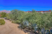 Pet-friendly 1-bedroom condo in NW Tucson with Fireplace & Covered Patio - Homestays