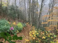 Spacious suite surrounded by nature with living room, fireplace, porch, fire pit Hotels in Caldwell County