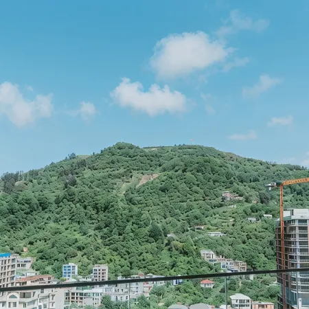 Apartments in Navi