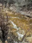 Mama Bears den “The perfect location to visit the Hatfield and McCoy trails” - 3-Star