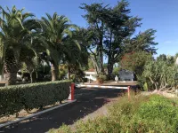 Location Ile D'oléron - Homestays