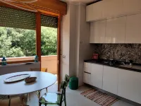 Lovely one-bedroom apartment with terrace - Holiday Apartments