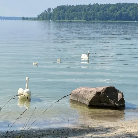 Tern with lake view and terrace, beach, jetty