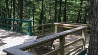 Peaceful Nest / Nirvana Amidst Trees