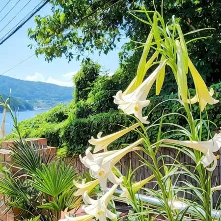 Ha-Wahyeon HOUSE: Great location, views and vibe!