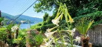 Ha-Wahyeon HOUSE: Great location, views and vibe! - غرفة مطلة على الجبل