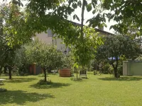 Alpi Apuane:colored flat in ancient farmhouse 4km from the sea and near the Alps Hotels in Seravezza