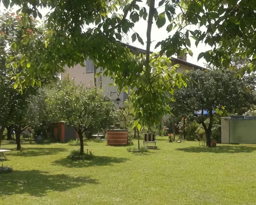 Alpi Apuane:colored flat in ancient farmhouse 4km from the sea and near the Alps 塞拉韋扎酒店
