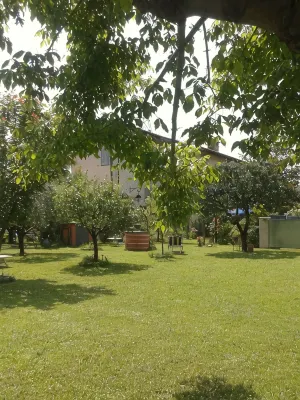 Alpi Apuane:colored flat in ancient farmhouse 4km from the sea and near the Alps