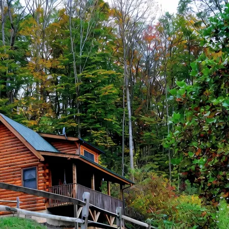 Deer Country Vacation Cabins #4 - Long Range View, Dogs Friendly