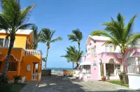 Villa Flamingo; Sleeps 8; Waterfall, Oceanfront Pool, Hot Tub