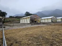 Jangheung Taengdaengi Glamping Hotels in Jangheung-gun