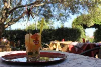 Hotel Lu Pitrali - bar