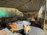 Rahgir Mcleodganj - Hostels