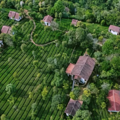 Tea Terrace Vythiri Resort Отели рядом с достопримечательностью «Водопады Меенмутти»