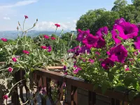 B&B Pergolesi - Mountain view