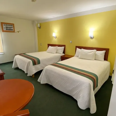 Hotel Mision Leon