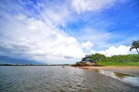 Tracy's Tropical Treasure #1 Earned "Best in Kihei" Four Times and 1 in Maui”