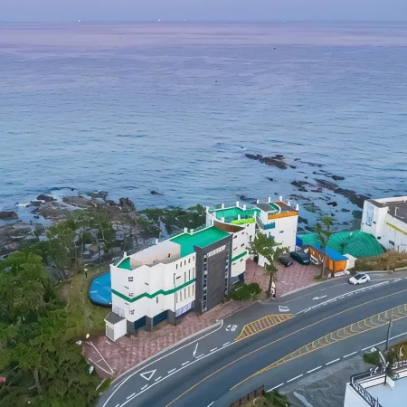 Pohang Pinewave Sea & Spa Pension