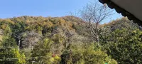 科比特拉姆甘佳塔蘭吉歡迎傳統度假村 - 山景