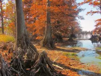 Scales And Ducktails Rentals. Your Hunter And Fisherman Home Away From Home. - 3 estrellas