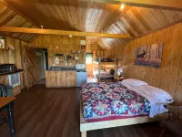 Northern Maine Cabin - Trails - WiFi - AC - Hytter