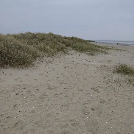 A Little Sea is Always Welcome