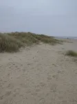 A Little Sea is Always Welcome - 4 tähden