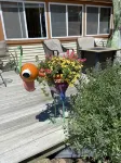 3-bedroom cottage just 10 minutes from Burlington - Beach