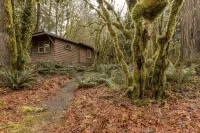 Cozy Rustic 20 minutes to Mt Baker walk to town, hot tub, High Speed Internet - 民宿