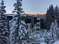 The "Powder Day" of Ski Condos! Ski-in Ski-Out, Great Vibe, Chef's Kitchen + EV! - Boutique