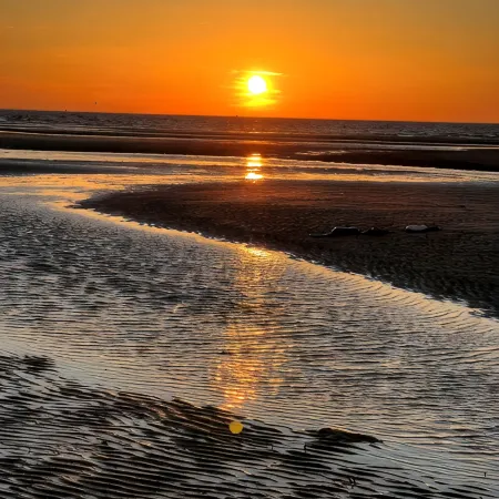 New!! Enjoy the Most Spectacular Sunsets in Cape May County! Dog friendly!