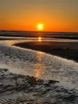 New!! Enjoy the Most Spectacular Sunsets in Cape May County! Dog friendly! - 3-Star