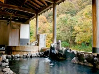 Grand Park Hotel EX Fukushimaebisu - Hot Tub