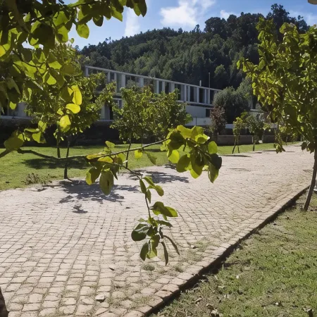 Hotel Parque Serra da Lousã Ξενοδοχεία στην πόλη Miranda do Corvo