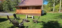 Cozy cabin located in Brasher Falls, NY. Pet friendly! - Chalets