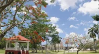 SureStay Hotel by Best Western Guam Airport South - 3つ星