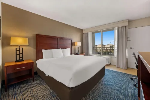 Comfort Inn on the Ocean - Pools