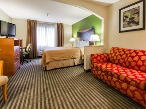 Quality Inn & Suites Birmingham - Highway 280