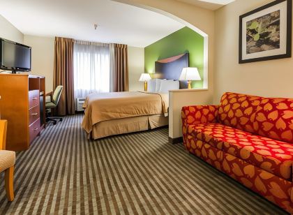 Quality Inn & Suites Birmingham - Highway 280