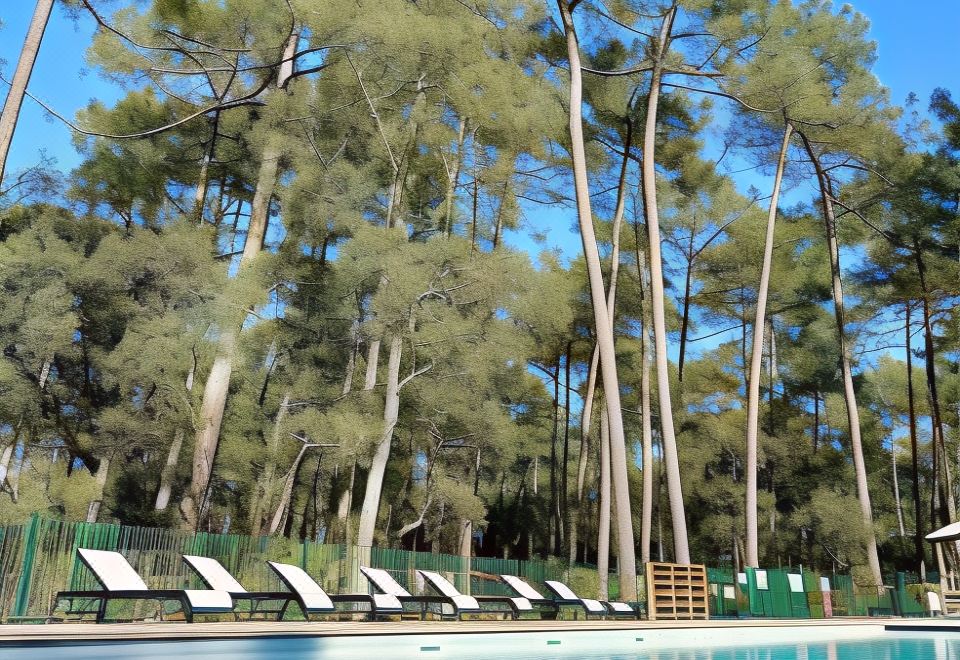 a large outdoor swimming pool surrounded by tall trees , with lounge chairs placed around the pool for relaxation at Green Resort