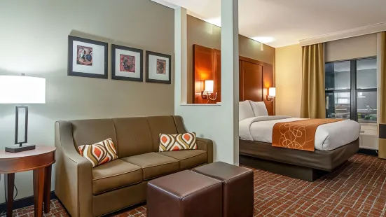 Comfort Suites NW Dallas Near Love Field