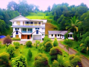 Green Cove Munnar