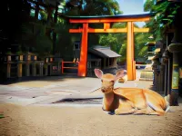 Slow House Nara